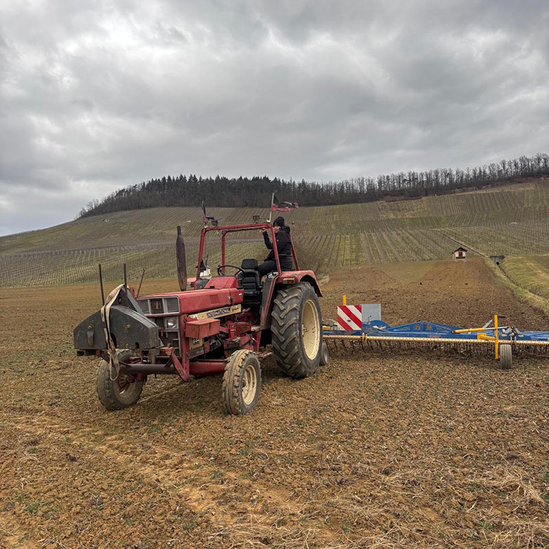 Featured image for “Testeintrag Neuigkeit”